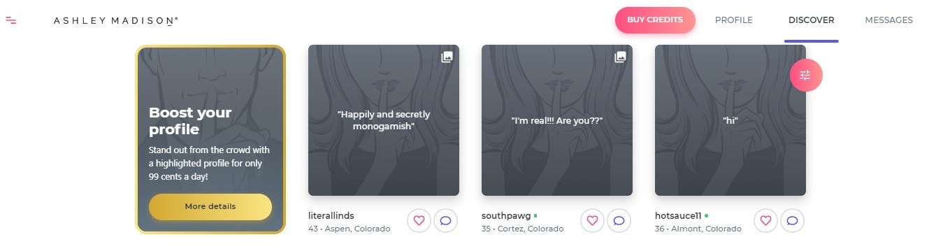 Ashley madison review search your love