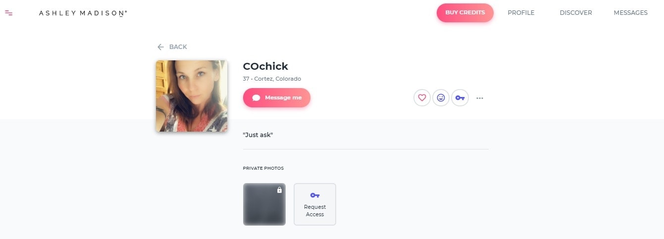 chat with love birds 