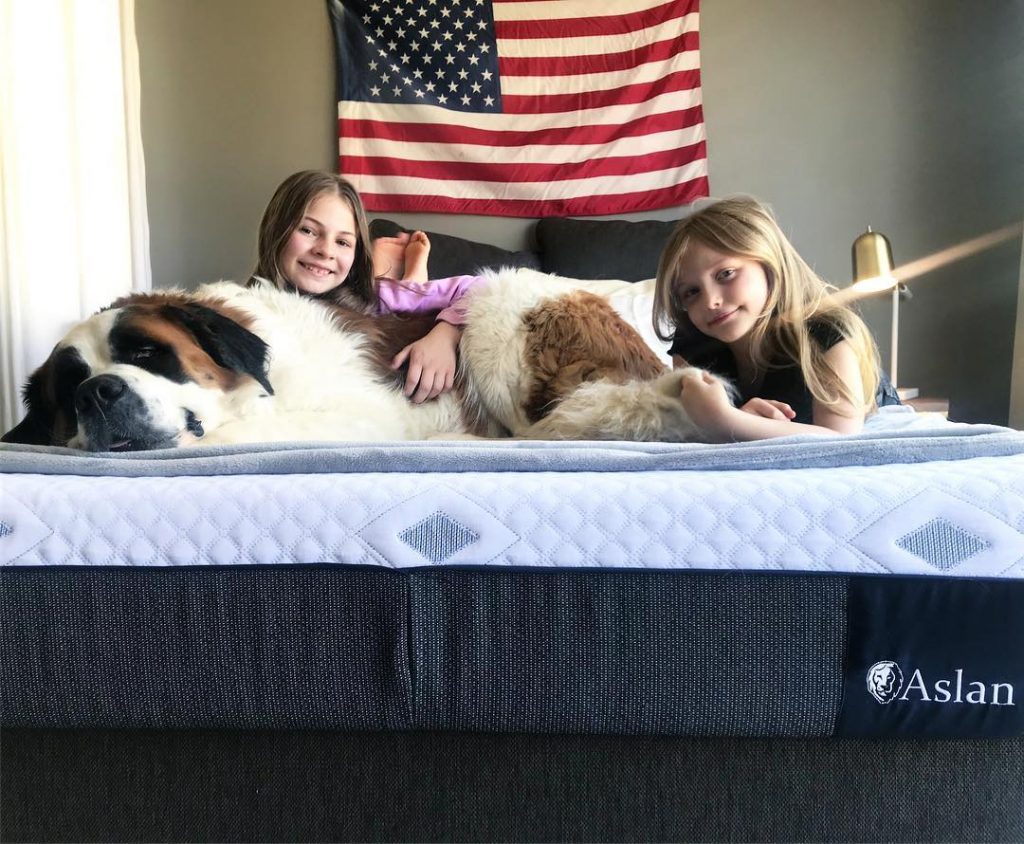 Aslan breathable mattress for kis